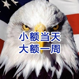 疏勒要账公司